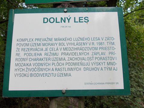Foto 41